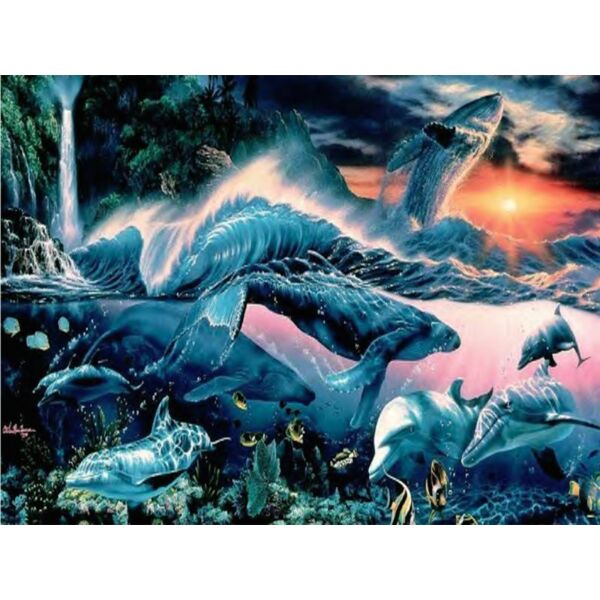 Dolphin Paradise Thumbnail