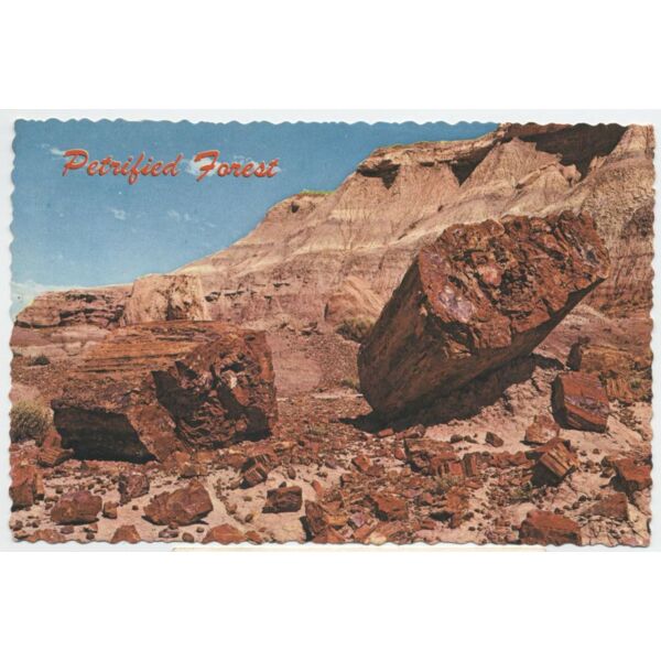 petrified forest Thumbnail