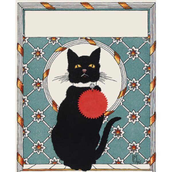 black cat t Thumbnail