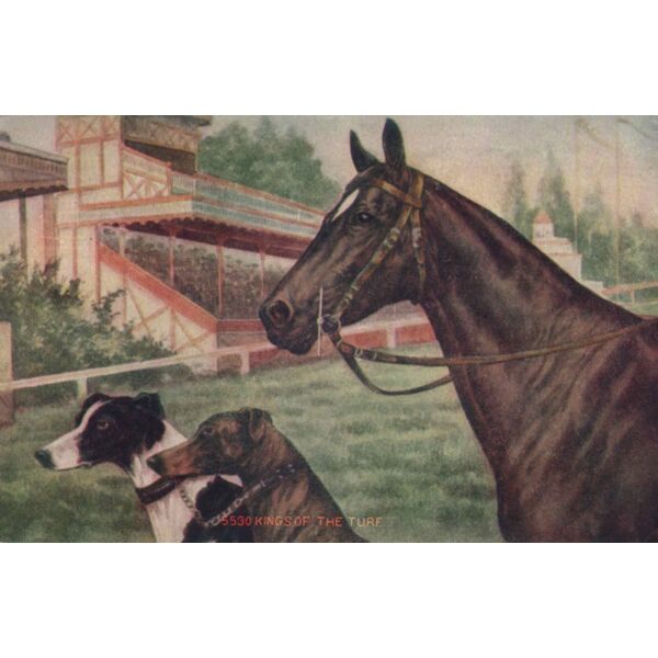 Kings of the Turf Thumbnail